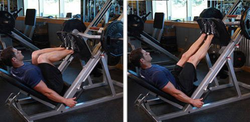 Lịch tập gym cho người mới bắt đầu trong tháng đầu tiên