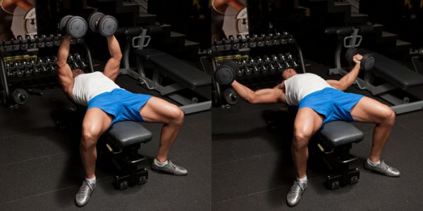 Lịch tập gym cho người mới bắt đầu trong tháng đầu tiên