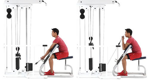 Lịch tập gym cho người mới bắt đầu trong tháng đầu tiên