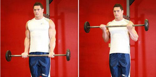 Lịch tập gym cho người mới bắt đầu trong tháng đầu tiên